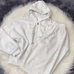 Grey Simple Hooded Zipper Style 2-Pcs Winter Tracksuit. D-12 Grey Simple Hooded Zipper Style 2-Pcs Winter Tracksuit. D-12